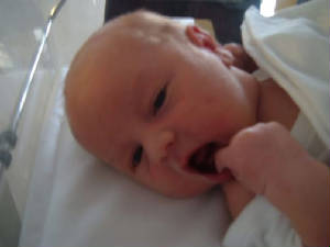babyjack.jpg