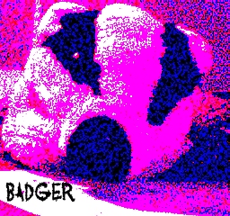 badger.jpg